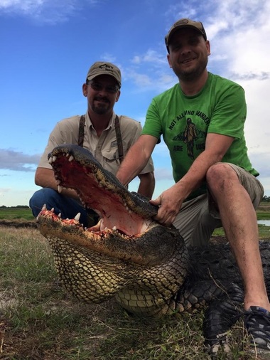 Zombie Florida Alligator comes back to life but we get him in the end.