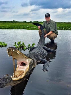 Hunters of any age can bow hunt a Florida alligator with skills like this kid!