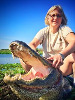 Predator Pursuit visits Alligator Hunting Florida